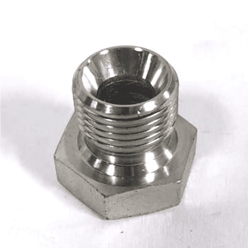 1/4 BSP ชาย Hex Head Captive Seal
